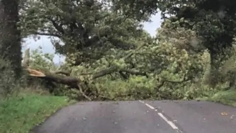 Jennifer Gray A tree has fallen across the road in Staffordshire brought down by Storm Callum