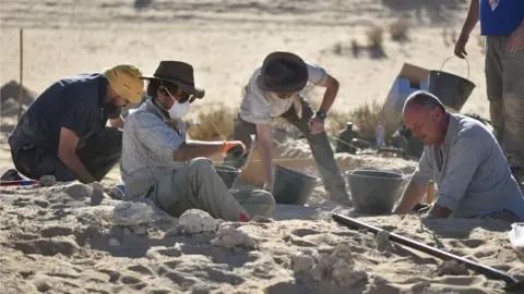 Klint Janulis Researchers excavating in the sands of Al Wusta