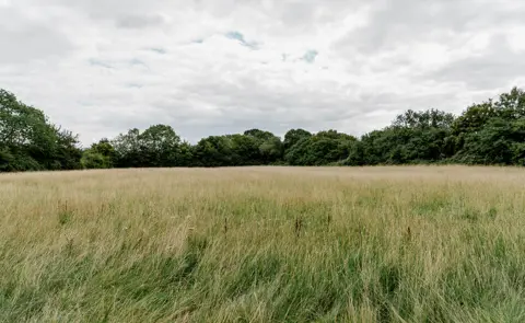 Inigo Mellis Common, Suffolk