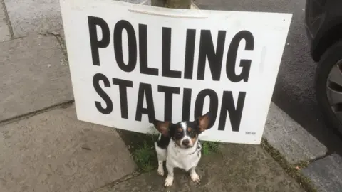 Caroline Criado Perez Dog outside polling station