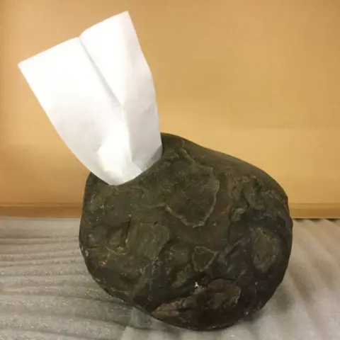 Pitt Rivers The rock