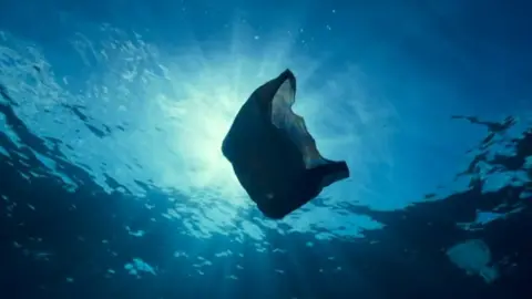 Plastic bag sea pollution