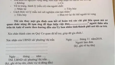 Xử Nữ Năm 2019: Bứt Phá Ngoạn Mục, Đón Nhận Thay Đổi Tích Cực