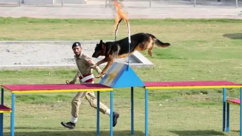 Getty Images Dog training at canine centre in Islamabad