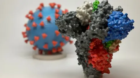 Getty Images The spike protein (foreground) enables the virus to enter and infect human cells