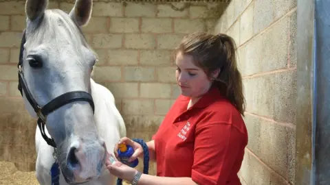 British Horse Society Horse gets sun cream