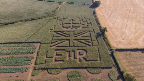 Joe Drage Promotions A tribute to Queen Elizabeth II made out of maize in a field in Northamptonshire