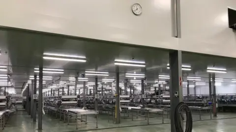 Debbie Russ PBP processing hall, standing still