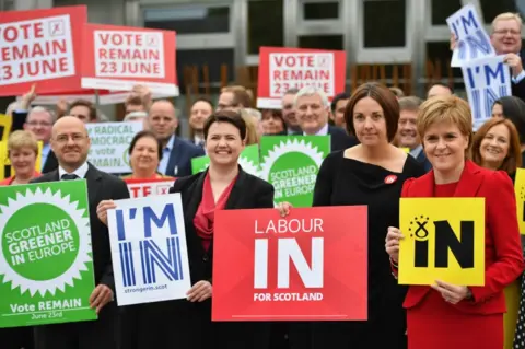 Getty Images Party leaders with Remain placards