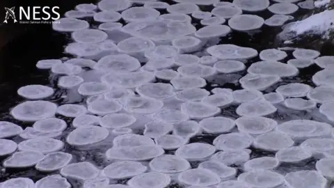 Ice pancakes