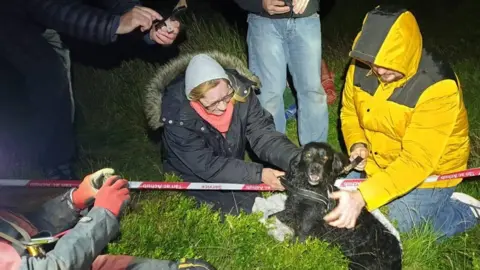 South and Mid Wales Cave Rescue Team The dog after being rescued