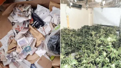 Humberside Police Seized money and cannabis plants