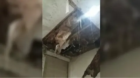 Ceiling falling in