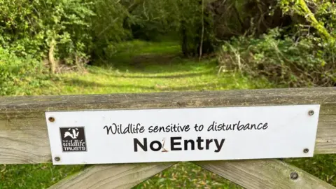 Ollie Conopo/BBC Woodland protected by a gate with a sign saying "wildlife sensitive to disturbance, no entry"
