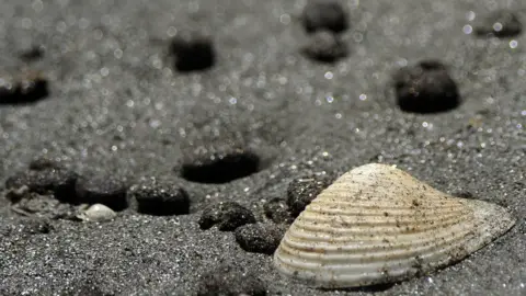 Getty Images Tar balls on a beach