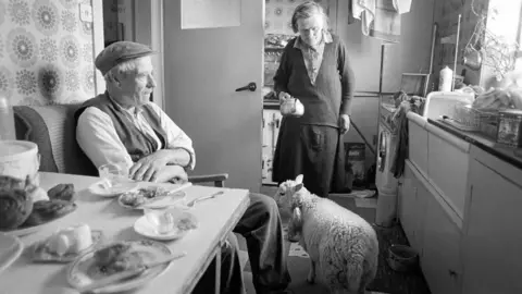 John and Jeannie with pet lamb, Nesting