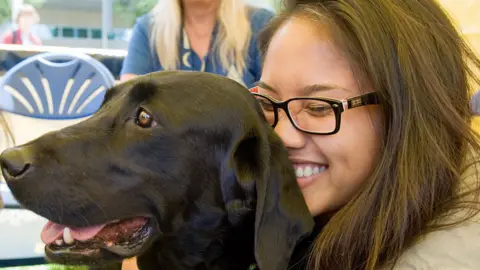 Getty Images Dogs on campus