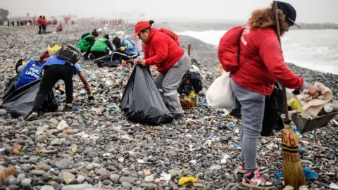 Getty Images Groups of volunteers clean up plastic waste on a beach