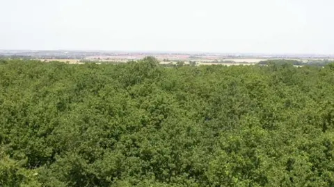 Geograph/Kokai View from Tree Top Way in Northamptonshire