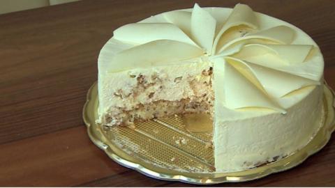 What is the Einstein visa? And how did Melania Trump get one? - BBC News