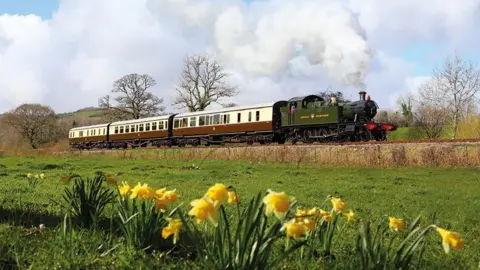 South Devon Railway Train