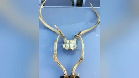 Nottinghamshire Police Antlers found at Taylor's address