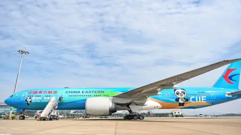 Getty Images A painted Boeing-777 aircraft of China Eastern Airlines in October 2020