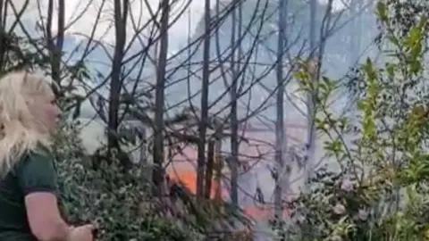 South Essex Wildlife Hospital Sue Schwar watching firefighters tackle a fire