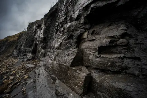 BBC/Tony Jolliffe Kimmeridge Clay cliffs