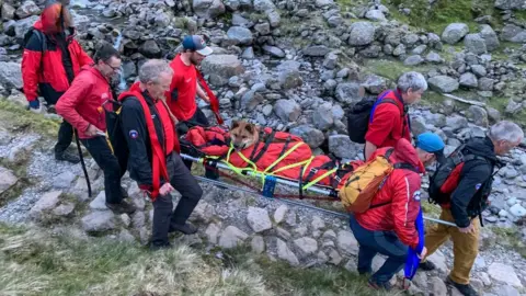 Keswick Mountain Rescue Team Dog being rescued on a stretcher