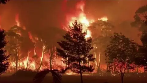 NSW RFS - TERREY HILLS BRIGADE Crowning fire