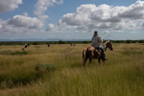 ALEJANDRO CEGARRA A cowboy helps to locate human remains during a search