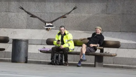 BBC News: Tom Pilston People watch as Harris hawk Lighten flies in Trafalgar Square, 13 June 2020