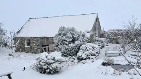 Suzy | Weather Watchers Snow-covered building and garden