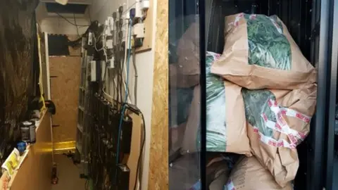 Northamptonshire Police Cannabis factory