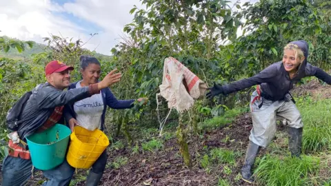 Simon Echavarria Luis Giraldo and Gloria Piedrahita get some help from a fellow coffee picker at the Santa Isabel estate on Nov 20