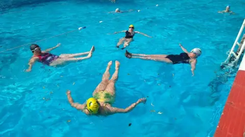 Friends of Jesus Green Lido Lido cygnets