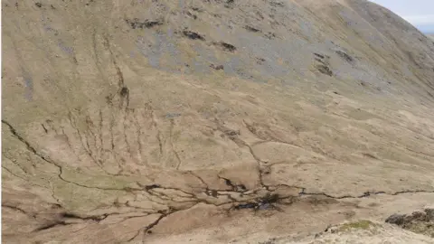 Lee Schofield Sale Pot