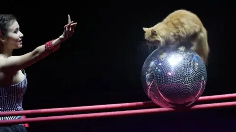 n artist with a cat performs during the dress rehearsal of a new show, titled "World Circuses" at the Belarus State Circus in Minsk, Belarus, 21 September 2018. Artistes from nine countries take part in the event