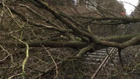 Network Rail Birmingham Tree over rail lines