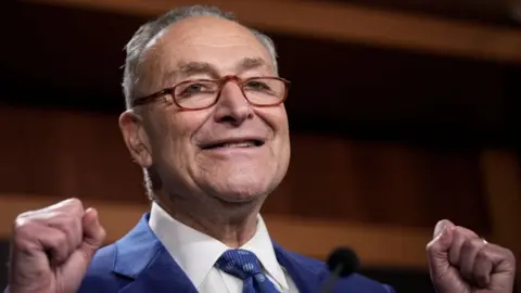 Getty Images Democratic Senate majority leader Chuck Schumer