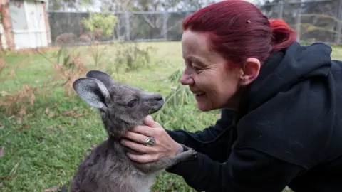 Peter Sharp, Tame & Wild Studio Rae Harvey pats a relaxed-looking joey