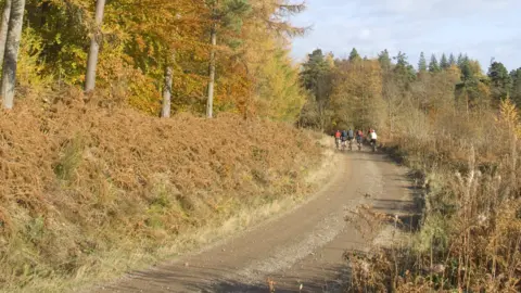 Forest Enterprise Scotland Mabie forest