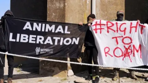 XR Protesters with flags