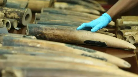 EPA Stacks of ivory