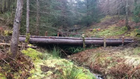 West Cumbria Rivers Trust  Whinlatter dam