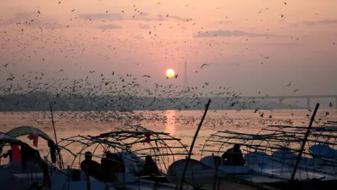 Ankit Srinivas Allahabad sunset
