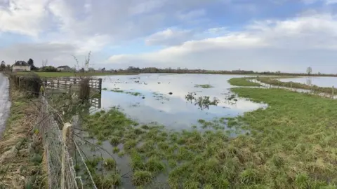 A flooded field