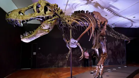 Getty Images Tyrannosaurus Rex skeleton