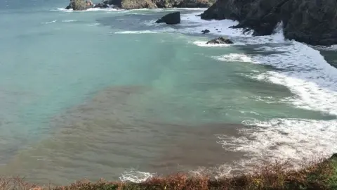 Nick Jones Trevaunance